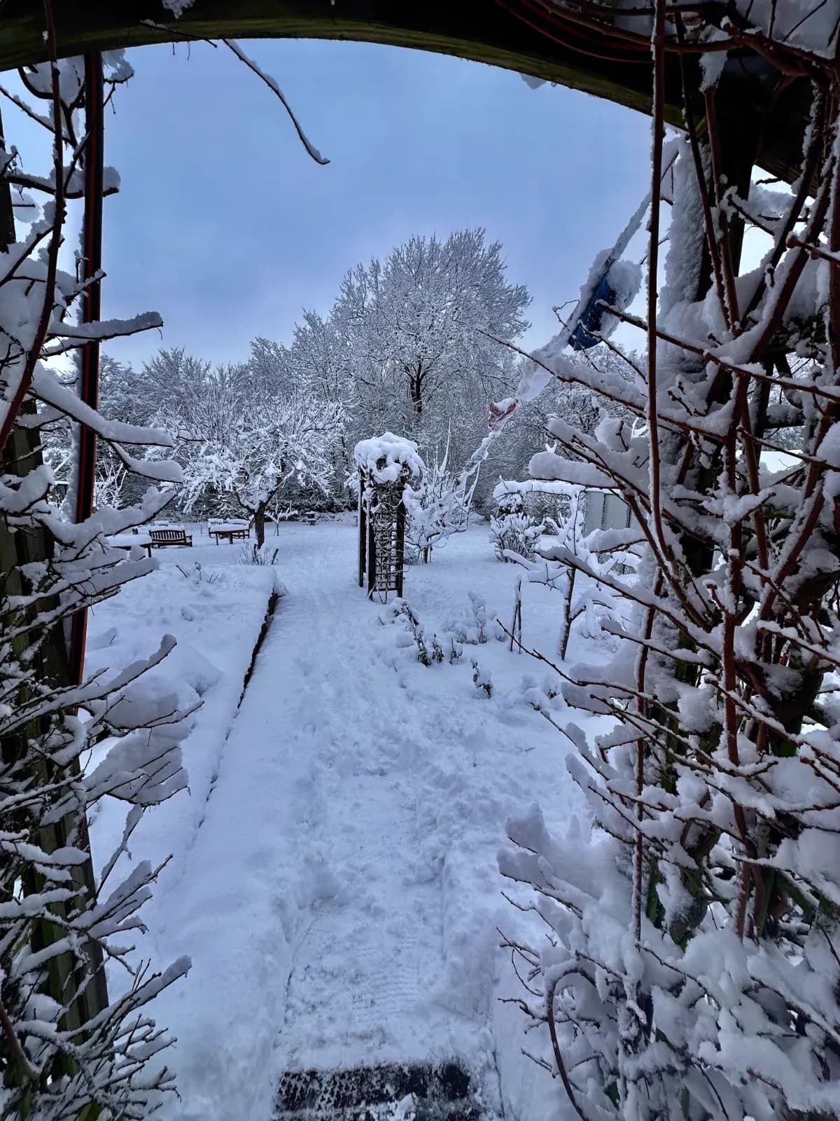 Blick durch einen verschneiten Rosenbogen in den Garten: zugeschneiter Weg, Bänke und Bäume voller Schnee