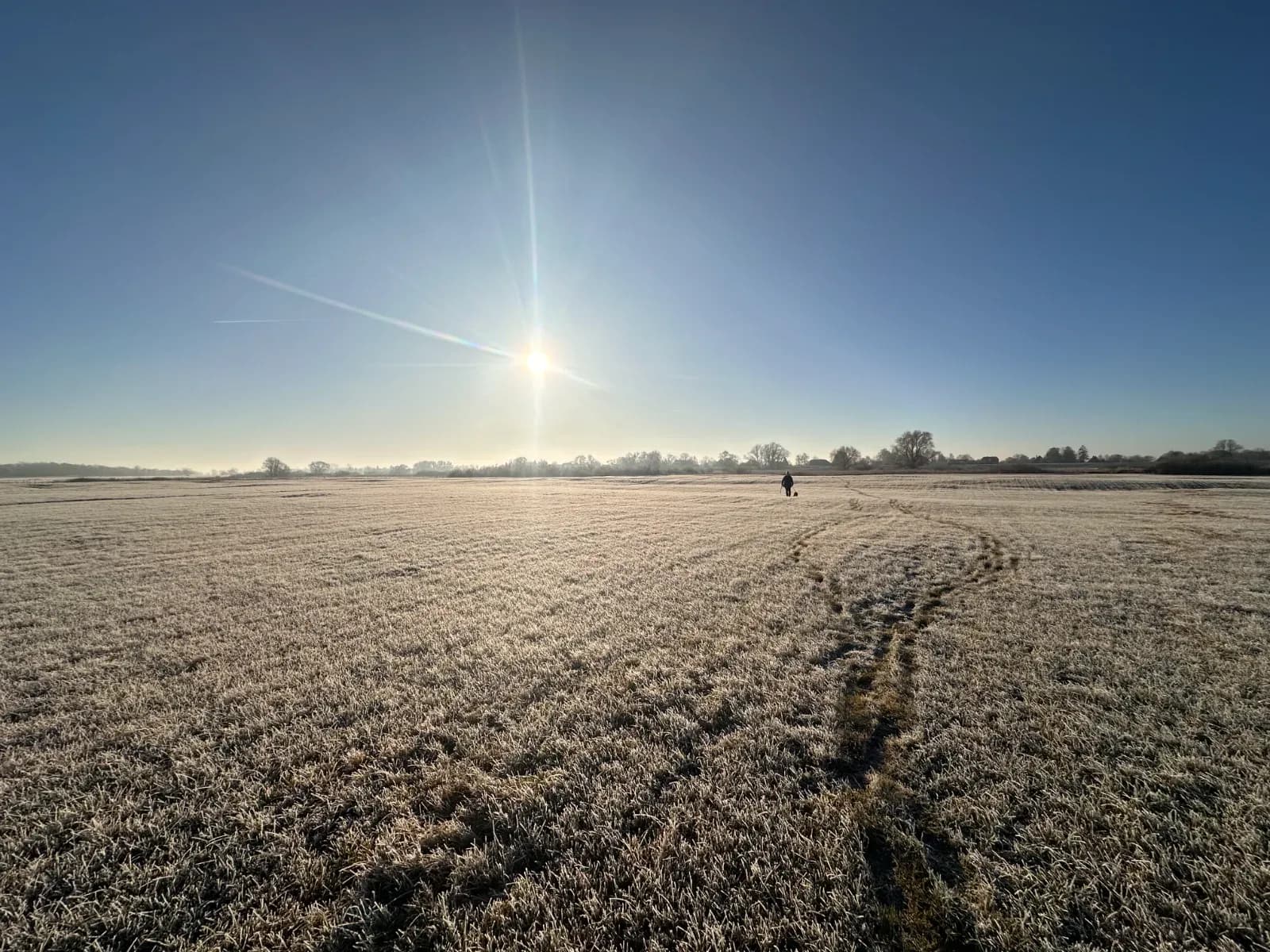 Weite Wiese mit Raureif in der Morgensonne, in der Ferne ein Mensch mit Hund