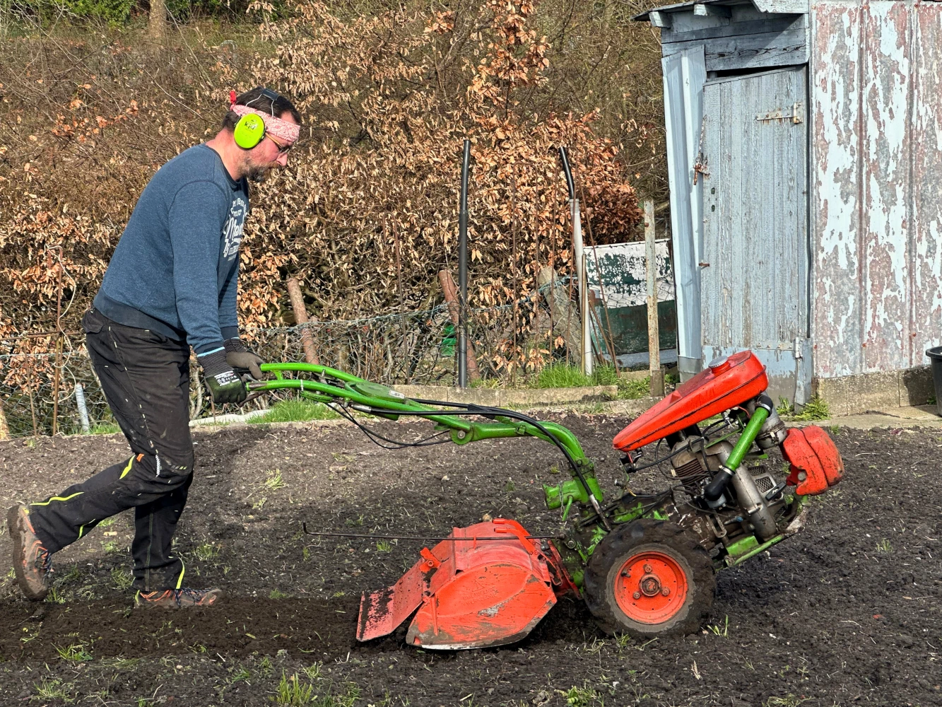 ein Foto von Robert, der mit einer Agria Fräse ein Beet umgräbt